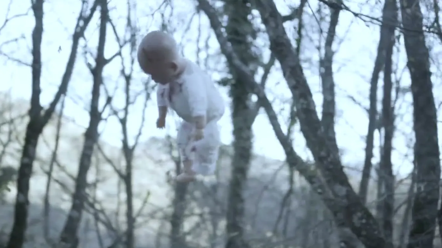 Il bosco